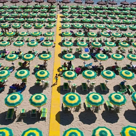 Hotel Quattro Palme Tortoreto