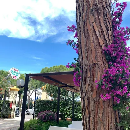 Hotel Quattro Palme 2*