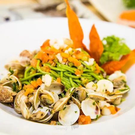 Hotel Quattro Palme Tortoreto