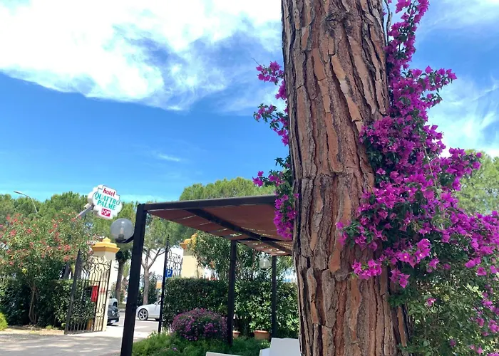 Hotel Quattro Palme 2*