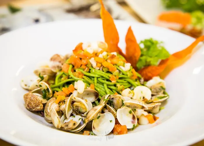 Hotel Quattro Palme Tortoreto